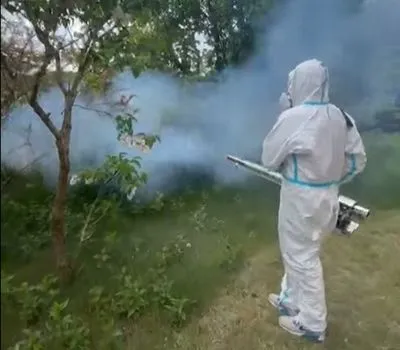 kleszcze-w-ogrodzie-InsektStop