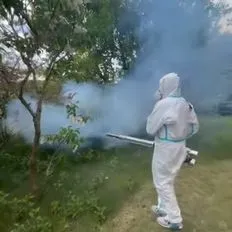 Jak-pozbyć-się-komarów-InsektStop