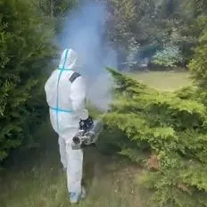 Jak-usnąć-gniazda-komarów-InsektStop