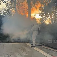 jak-wytępić-komary-InsektStop