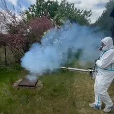 jak-zwalczyć-komary-InsektStop