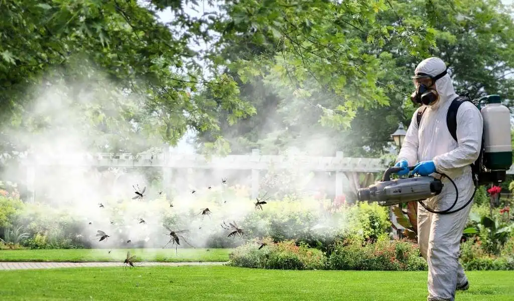 zamgławianie-ulv-jak-zwalczyć-komary-InsektStop