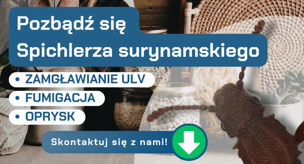 Pozbądź się spichrzela surynamskiego