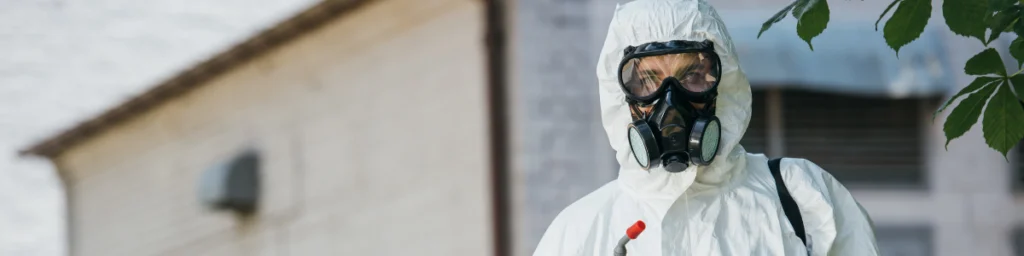 Profesjonalne zwalczanie spichrzela surynamskiego