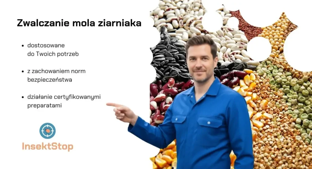 mol-ziarniak-zwalczanie