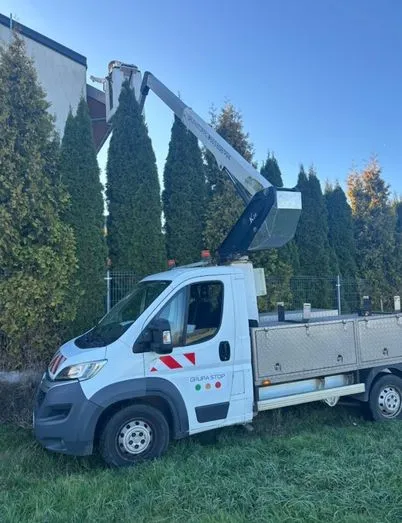 Usuwanie-gniazd-os-i-szerszeni-InsektStop