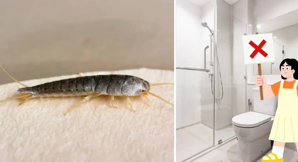 rybik - domowe sposoby InsektStop