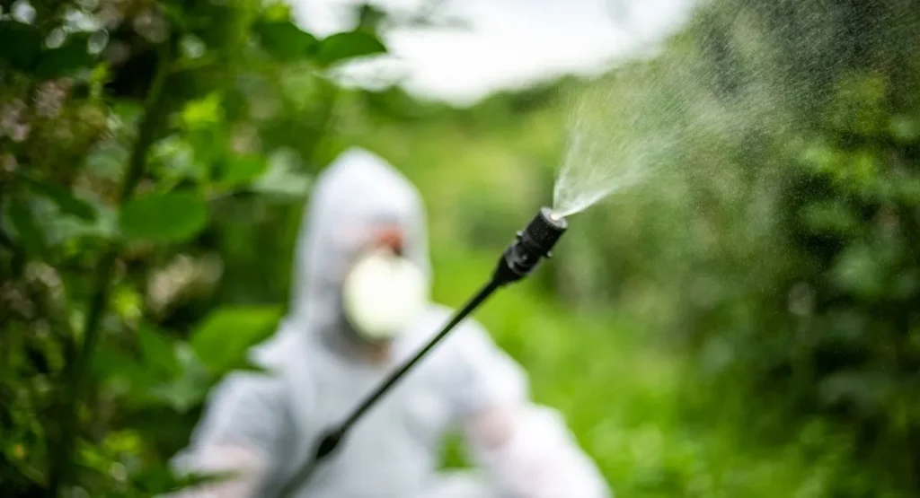 Read more about the article Aktualności z dezynsekcji: pasożyty w ogrodzie