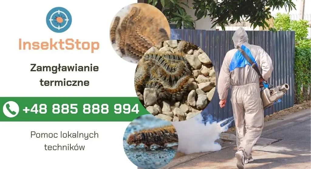 zamgławianie termiczne