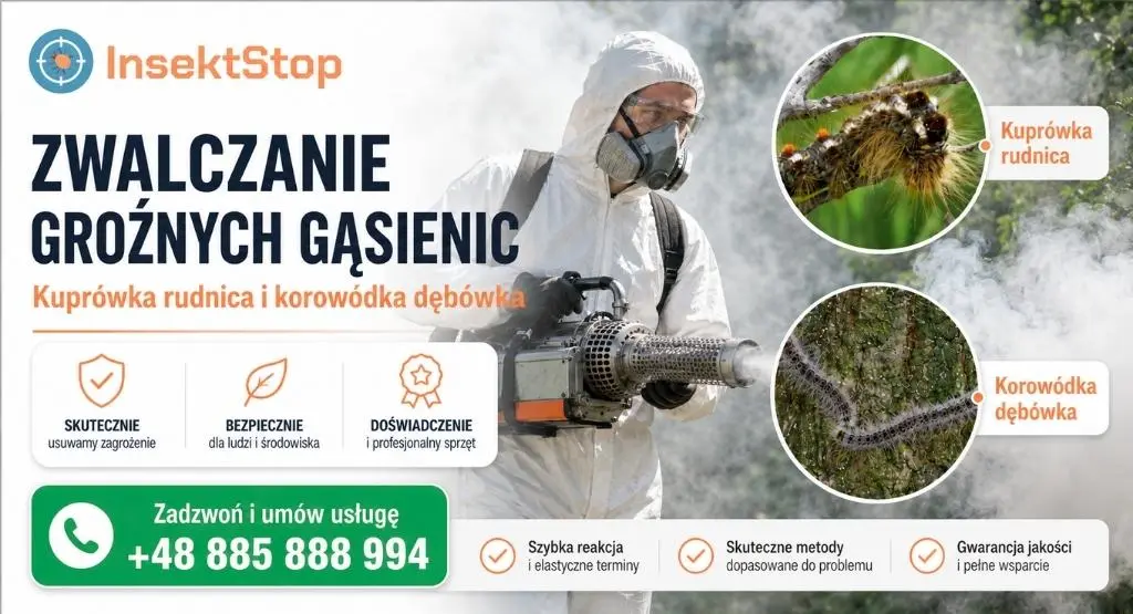 zwalczanie groźnych gąsienic